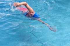 f9245fc2-b7db-451c-9146-7e95d7cf0285